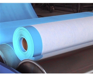 新疆增强型加筋PVC防水卷材